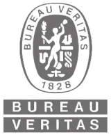Bureau Veritas (BV) logo