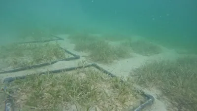 Implementation/Re-location of Seagrass – Qetaifan Islands South
