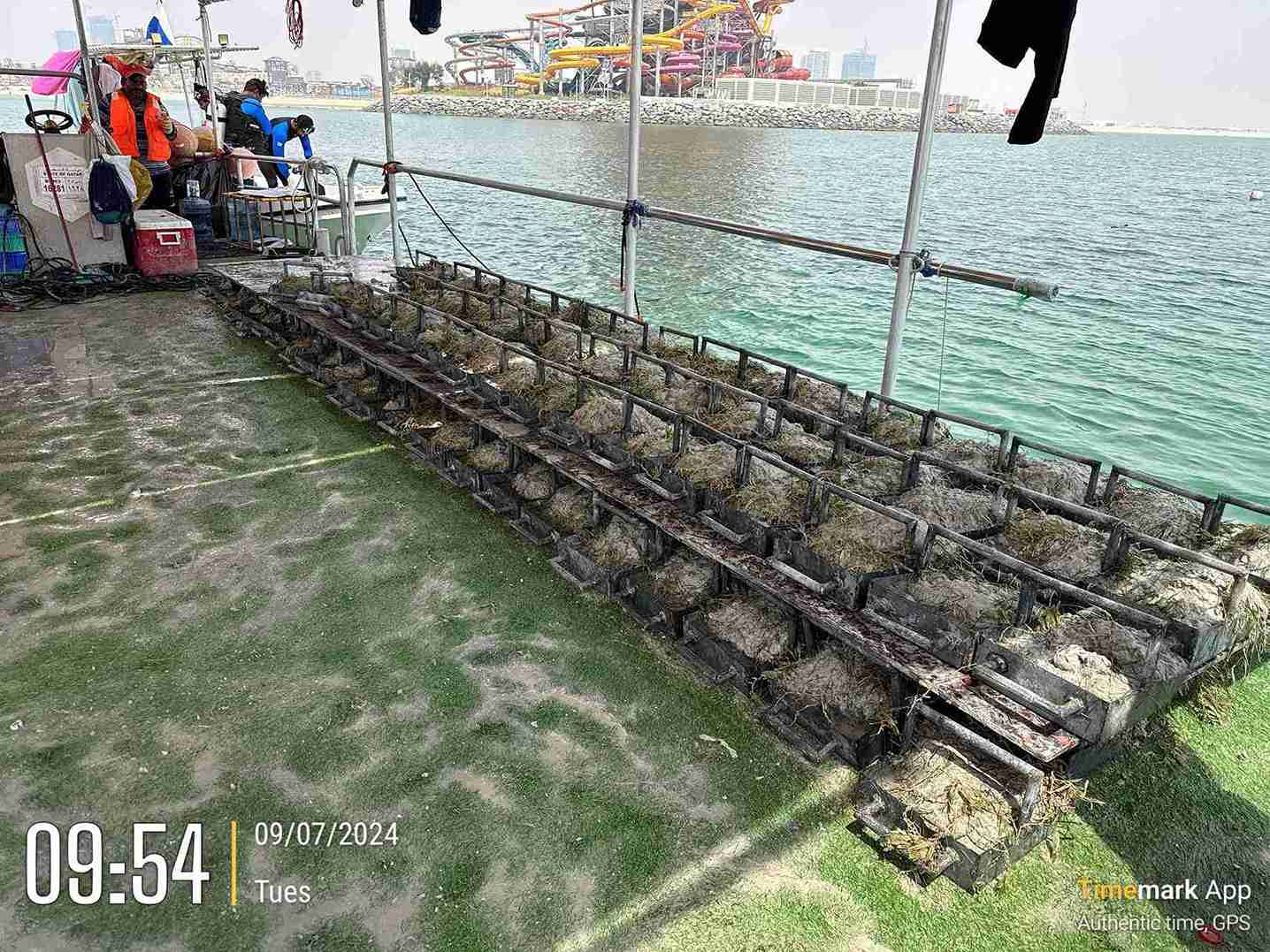 Implementation/Re-location of Seagrass – Qetaifan Islands South